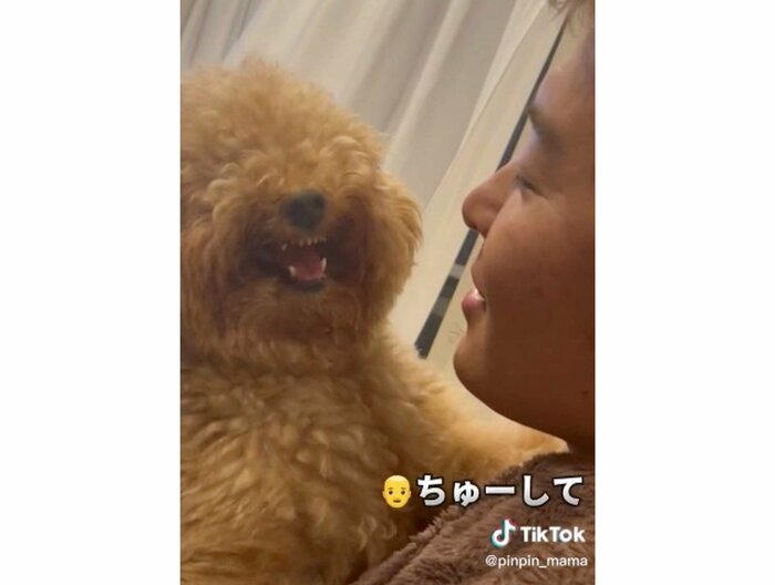 提供:ピン太郎ママさん