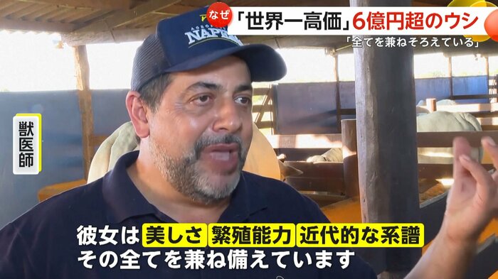 「世界一高価」となった理由を話す担当の獣医師