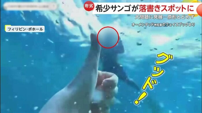 問題を認識していない観光客