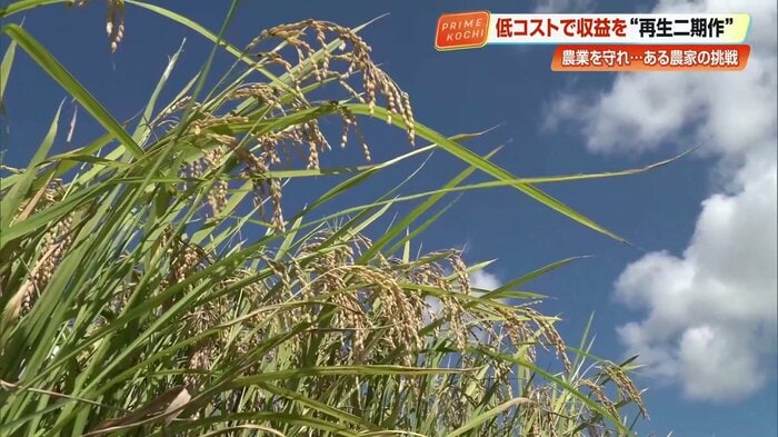 中島さんは農業について「高齢者中心に頑張っているが、先がないかもしれない」と語る