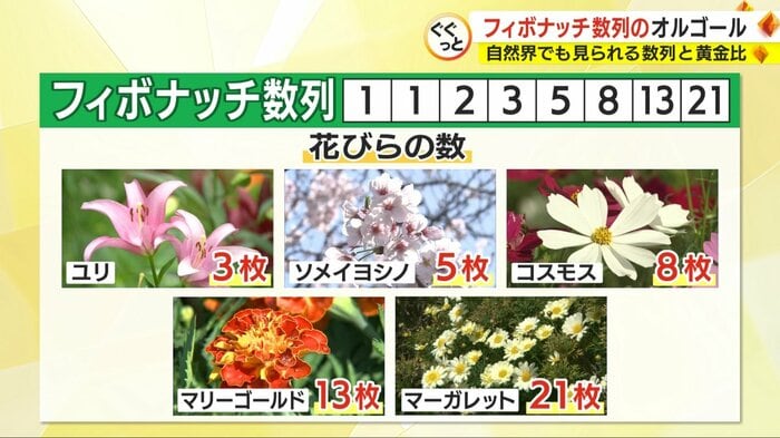 花びらの数