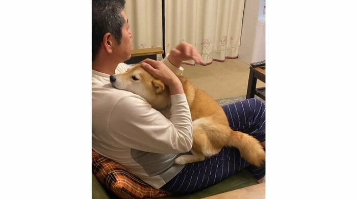 小雨ちゃんの頭などをなでなで