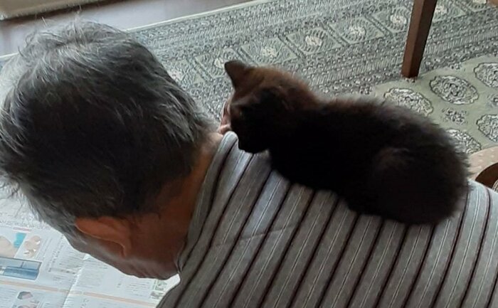 ルルちゃんも安心しているのが分かる