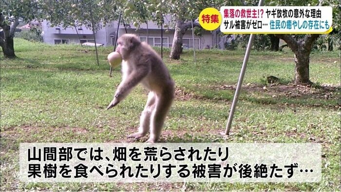 2016年・長野市