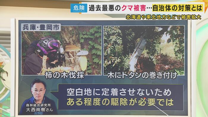 クマ対策
