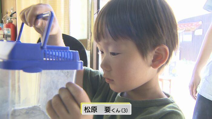 小さな虫取り名人・松原 要くん