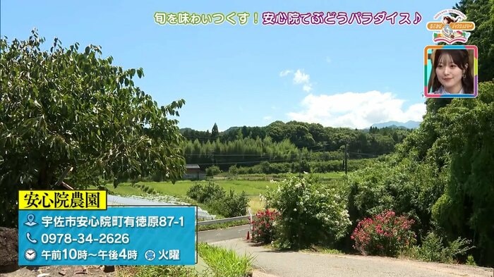 旬の味覚と絶景が待つ安心院