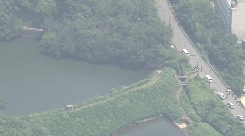 【速報】池に転落し２人が心肺停止で搬送　草刈り中に池に転落か　和歌山市｜FNNプライムオンライン