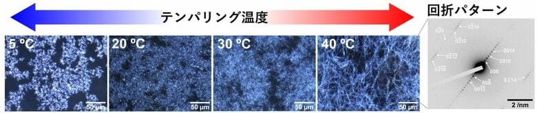 【ミヨシ油脂】広島大学と北海道大学との共同研究論文を発表、結晶の形と長さを制御し「油」を強く固める新技術
