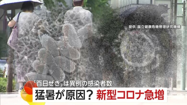猛暑の中で「新型コロナ」急増　「百日咳」も異例の感染者数…医師「暑さのストレスが続き、免疫系統が疲労」｜FNNプライムオンライン