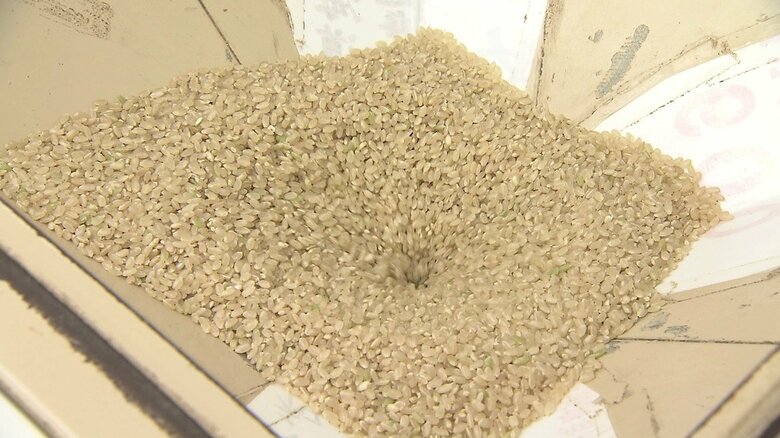 「お米の豆知識」精米機での精米の仕方で味や栄養価にも変化が コメの劣化を防ぐためには”玄米”での保存がおすすめ｜FNNプライムオンライン