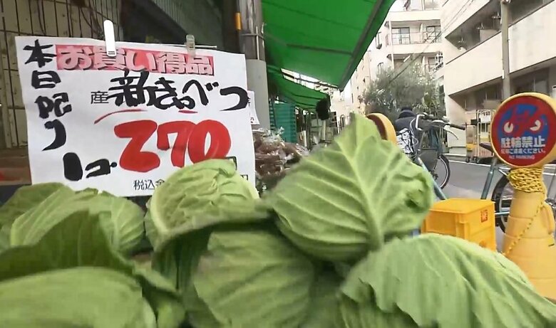 都内スーパーでは“7割”安く「春キャベツ」が1玉270円　家計の救世主として期待も…スーパー店主「雪降ったらとんでもなくなる」｜FNNプライムオンライン