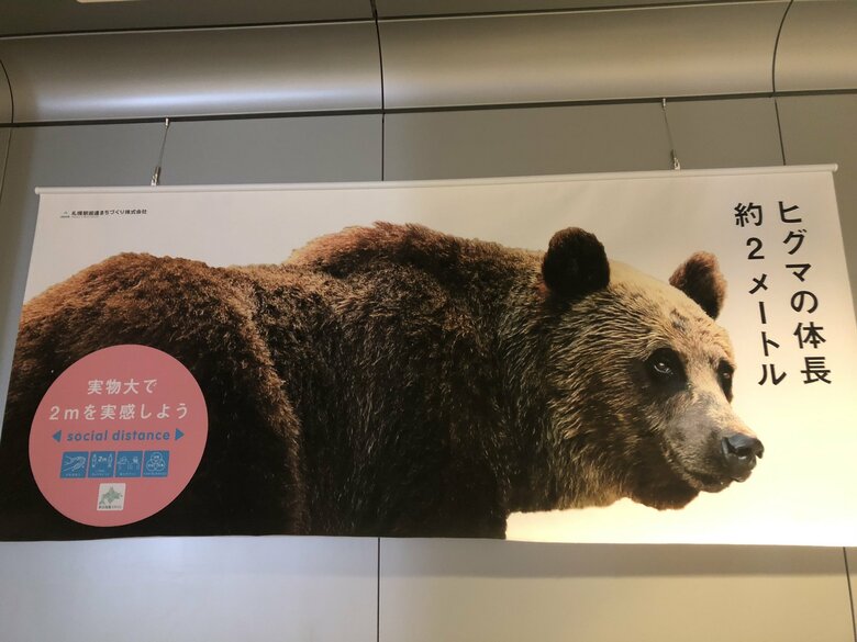 “ヒグマ1頭分”のディスタンス? 札幌で見つけた「実物大で2mを感じる」広告の迫力が気になる｜FNNプライムオンライン