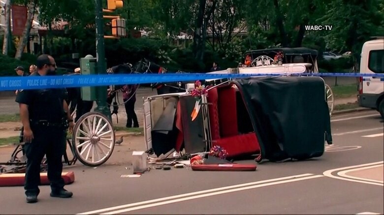 セントラルパークで馬車暴走　18歳男性死亡　御者が不在中に事故　運行停止措置と廃止論強まる｜FNNプライムオンライン