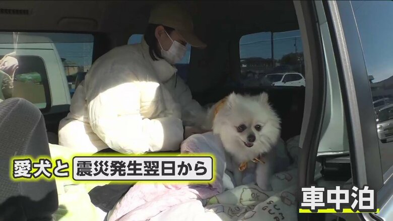 【車中泊する事情】「犬が吠える」「どこもいっぱい」高齢者や妊婦など避難所にいる人たちに配慮する被災者の姿　石川・輪島市｜FNNプライムオンライン