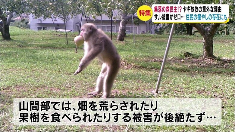 2016年・長野市
