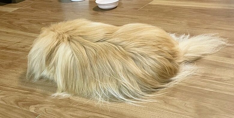 残業中の人間を待ち続けて謎の塊に…