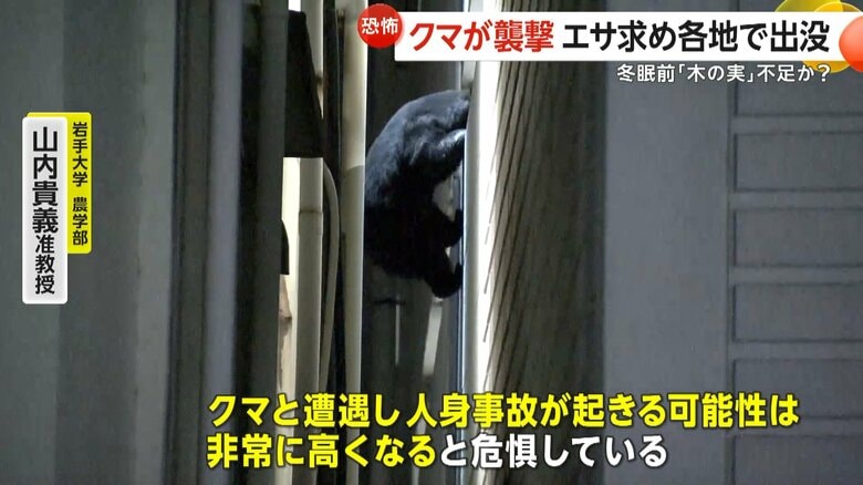 「人身事故が起きる可能性は非常に高くなると危惧している」と話す岩手大学　農学部・山内貴義准教授