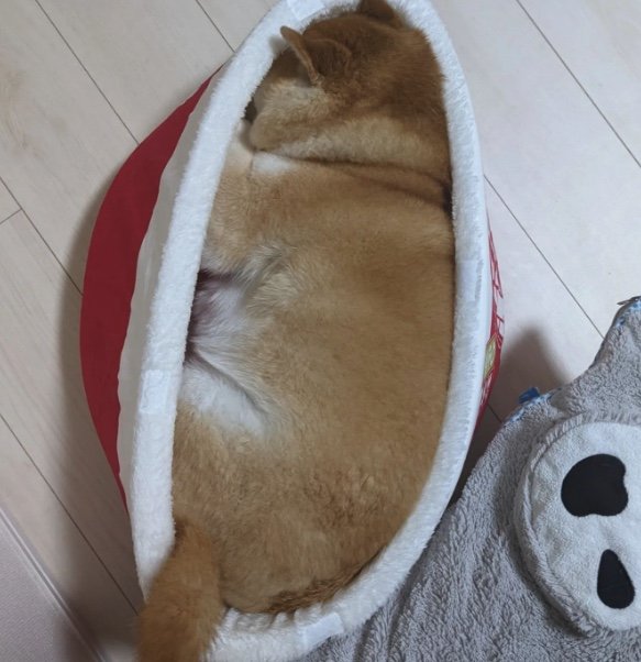 提供：natsumi.nnnさん