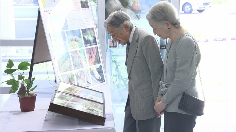 「ヨナグニサン」の標本をご覧になる両陛下