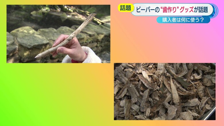 グッズ販売を検討中（左上：鉛筆　右下：着火剤）