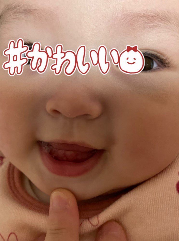 提供：ののさん