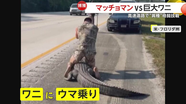 プロレス技の“ラクダ固め”を決めたマッチョマン