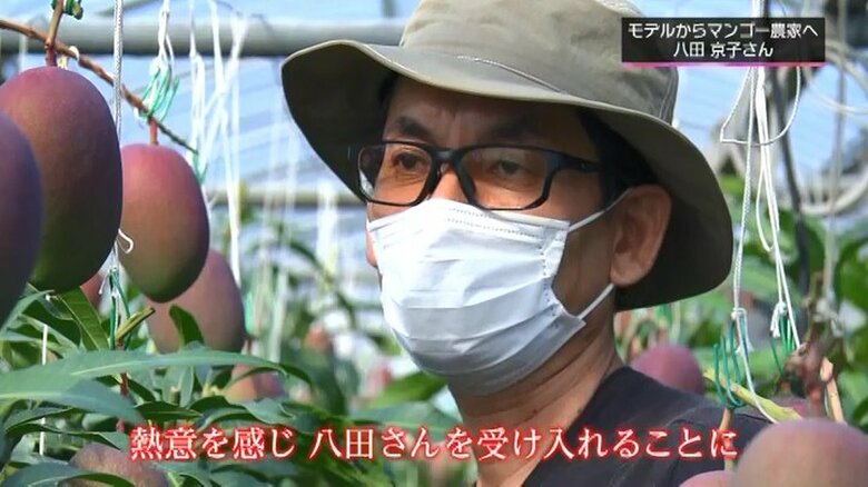 マンゴー農家・岩切浩さん