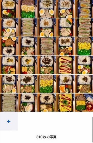 提供：えみまる～mogu feltさん