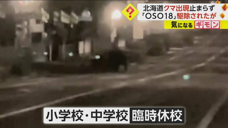 道路の真ん中を歩くクマ。この後、小学校の中に入っていった