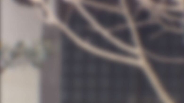 男性僧侶の寺（映像は加工しています）