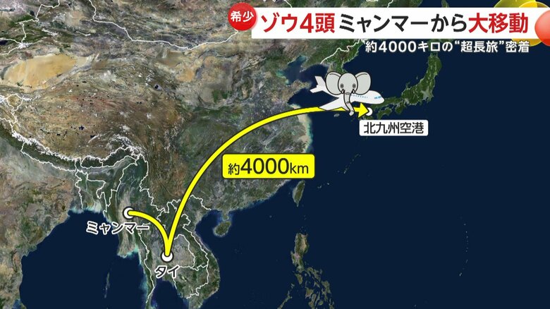 ミャンマーから日本までの約4000kmの移動距離