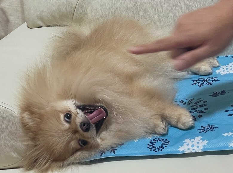 パパさんと遊び中