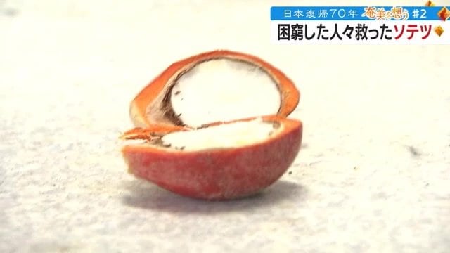 中の白い実の毒を抜く