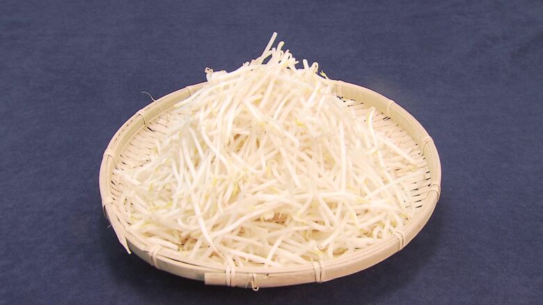 節約のため欠かせない「もやし」