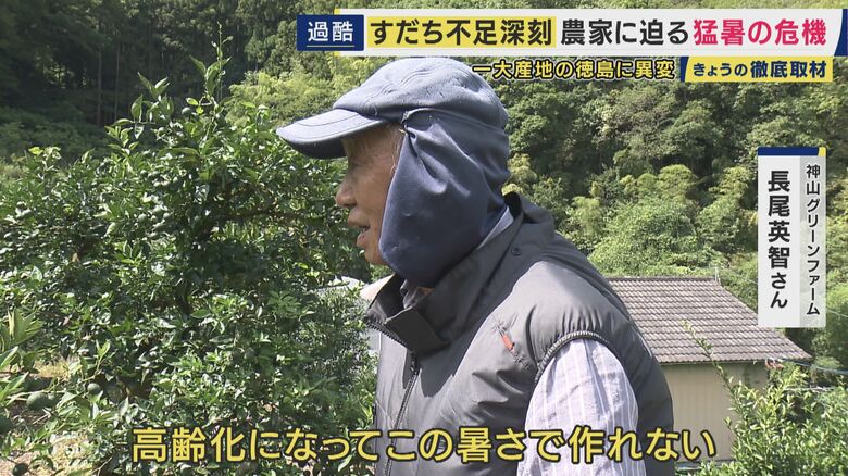 すだち農家歴40年の長尾英智さん