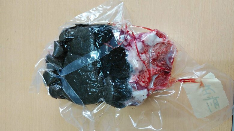 一般の人向けの肉は足以外売り切れに。写真は左前足（900gで2万円、送料別）