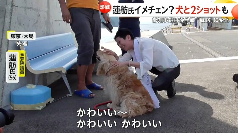 伊豆大島で犬を撫でる蓮舫氏