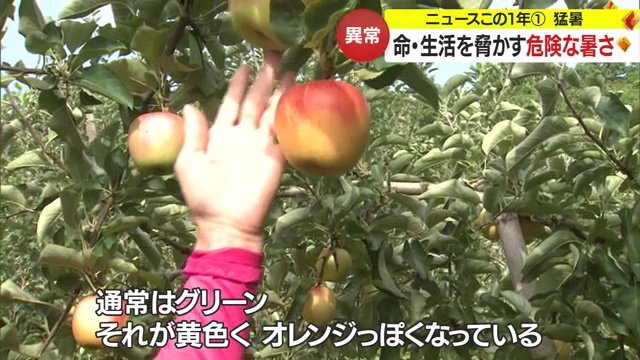 変色したリンゴ