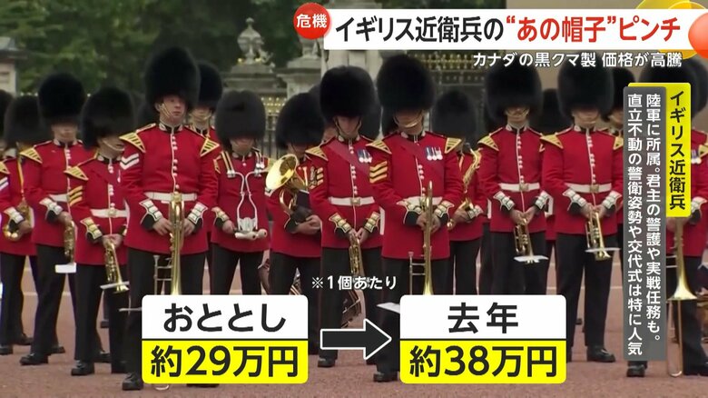 1個あたりの価格が約29万円から約38万円に上昇したという