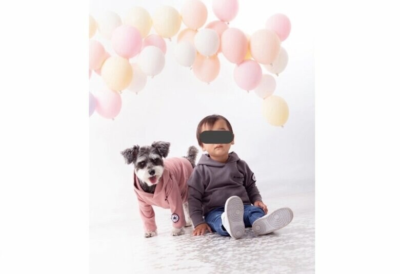 提供：くぅさん