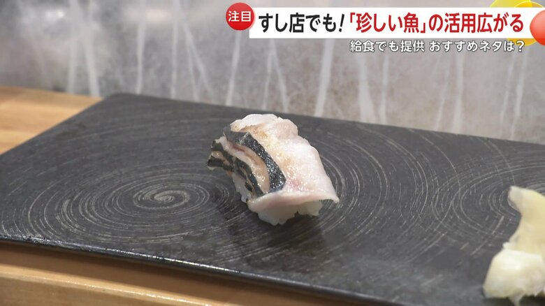 クロシビカマスのにぎり