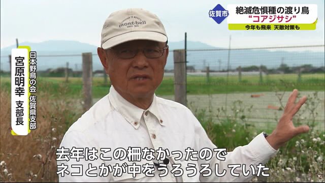 日本野鳥の会 佐賀県支部・宮原明幸支部長
