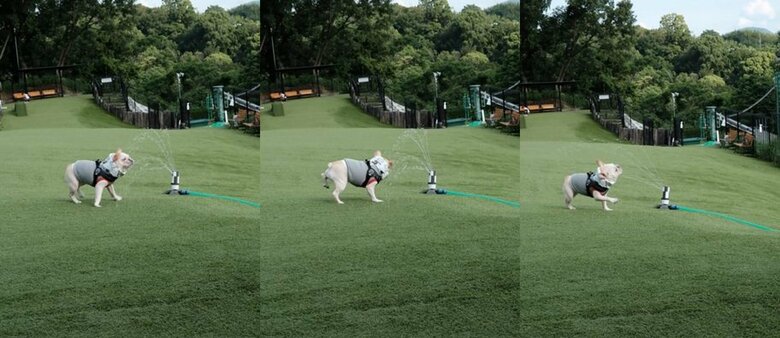 提供：むぎさん