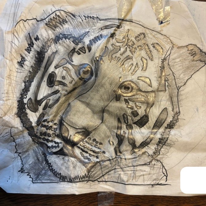 提供：櫻井京太郎さん