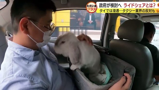 ペットと乗車可能なサービスも