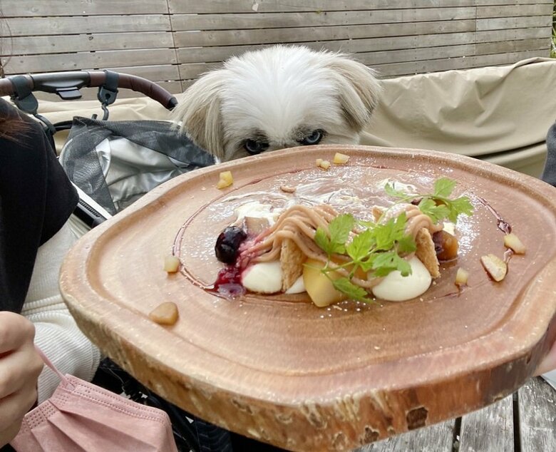 まるでハンターの目つき