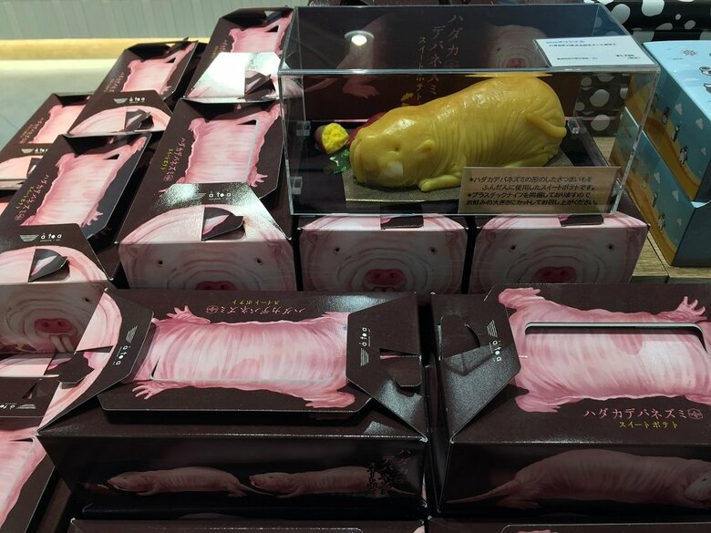 販売ブースの様子　提供:AQUARUMU×ART átoa