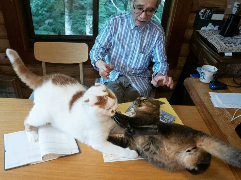 一緒に暮らしている他の子とケンカ　お父さんは仲裁しようとするけれども…（提供：MARCOさん）