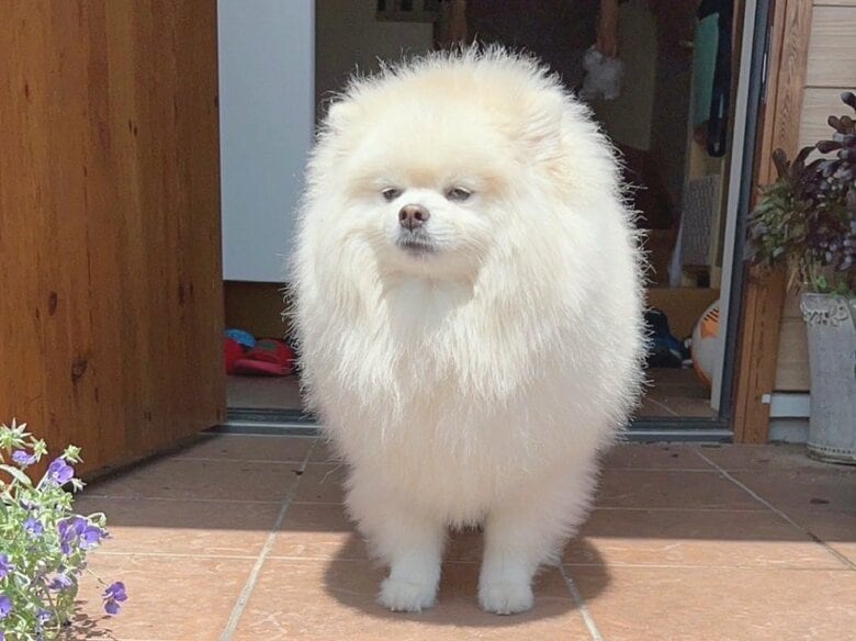 「まぶしい…」